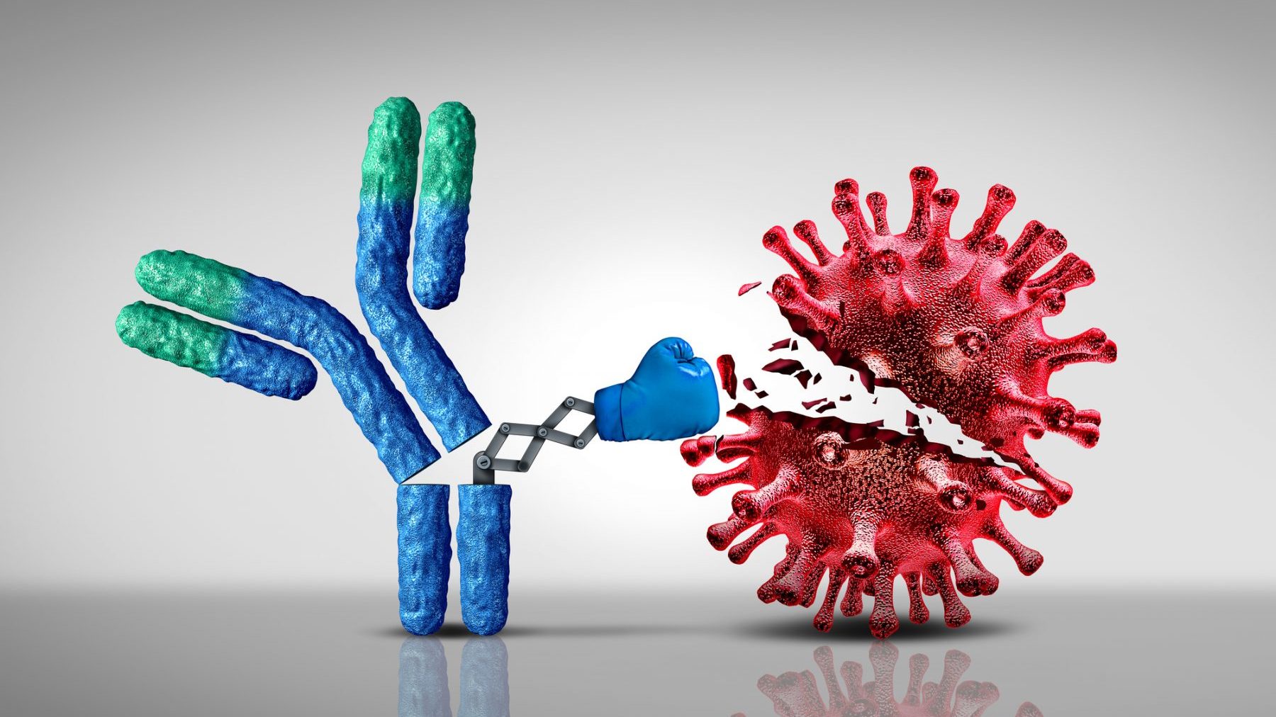 抗体とウイルスのイメージ